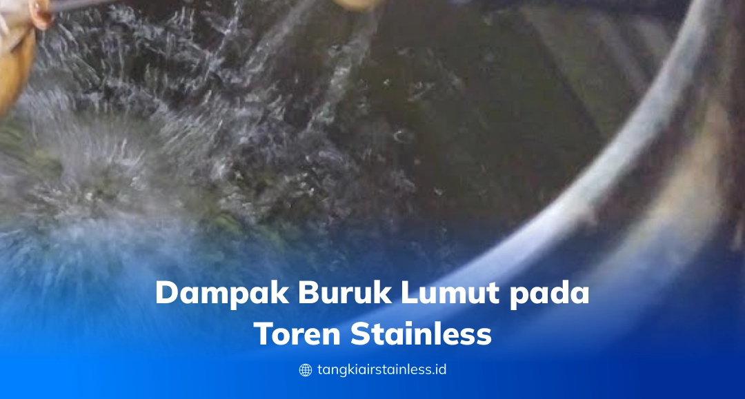 Dampak Buruk Lumut pada Toren Stainless
